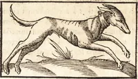 An illustration from Prodigiorvm ac ostentorvm chronicon : quae praeter naturae ordinem, motum, et operationem, et in svperioribus & his inferioribus mundi regionibus, ab exordio mundi usque ad haec nostra tempora, acciderunt ... (1557)