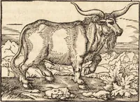 Picture 125 of 990 from Prodigiorvm ac ostentorvm chronicon : quae praeter naturae ordinem, motum, et operationem, et in svperioribus & his inferioribus mundi regionibus, ab exordio mundi usque ad haec nostra tempora, acciderunt ... (1557), leaf 87