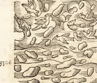 Picture 129 of 990 from Prodigiorvm ac ostentorvm chronicon : quae praeter naturae ordinem, motum, et operationem, et in svperioribus & his inferioribus mundi regionibus, ab exordio mundi usque ad haec nostra tempora, acciderunt ... (1557), leaf 89