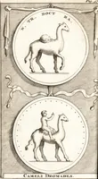 Picture 28 of 47 from Q. Curtius Rufus De rebus gestis Alexandri Magni : cum commentariis Raderi, Bongarsii, Popmae, Salmaaii, Gronovii, Loccenii & Freinshemii : hujusque & vetustioribus supplementis, nec non locorum difficiliorum interpretatione, & indice philologico locupletissimo rerum & verborum : accedunt figurae aeneae ad historiam Alexandri Magni apud curtium illustrandam necessariae (1696), leaf 529