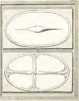 Picture 11 of 38 from Recherches sur l'origine, l'esprit et les progrès des arts de la Grèce : sur leur connexion avec les arts et la religion de plus anciens peuples connus : sur les monumens antiques de l'Inde, de la Perse, du reste de l'Asie, de l'Europe et de l'Égypte (1785), leaf 552