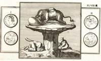 Picture 11 of 25 from Recherches sur l'origine, l'esprit et les progrès des arts de la Grèce : sur leur connexion avec les arts et la religion de plus anciens peuples connus : sur les monumens antiques de l'Inde, de la Perse, du reste de l'Asie, de l'Europe et de l'Égypte (1785), leaf 214