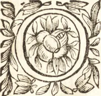 Picture 4 of 32 from Relation nouvelle d'un voyage de Constantinople : enrichie de plans levez par l'auteur sur les lieux, & des figures de tout ce qu'il y a de plus remarquable dans cette ville (1680), leaf 10