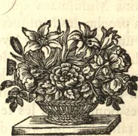 Picture 20 of 32 from Relation nouvelle d'un voyage de Constantinople : enrichie de plans levez par l'auteur sur les lieux, & des figures de tout ce qu'il y a de plus remarquable dans cette ville (1680), leaf 177