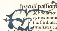 An illustration from Speculum passionis Domini Nostri Ihesu Christi : in quo relucẽt hec omnia singulariter vere & absolute, puta omnis p[er]fectio yerarchie, omniũ fidelium beatitudo, omnes virtutes, dona, fructus, et spiritualiũ bonorũ omnium efficacia, quod in fine prime partis huius speculi manifestissime cõprobat̃ (1507)