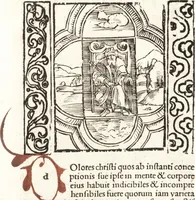 An illustration from Speculum passionis Domini Nostri Ihesu Christi : in quo relucẽt hec omnia singulariter vere & absolute, puta omnis p[er]fectio yerarchie, omniũ fidelium beatitudo, omnes virtutes, dona, fructus, et spiritualiũ bonorũ omnium efficacia, quod in fine prime partis huius speculi manifestissime cõprobat̃ (1507)