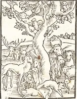 An illustration from Speculum passionis Domini Nostri Ihesu Christi : in quo relucẽt hec omnia singulariter vere & absolute, puta omnis p[er]fectio yerarchie, omniũ fidelium beatitudo, omnes virtutes, dona, fructus, et spiritualiũ bonorũ omnium efficacia, quod in fine prime partis huius speculi manifestissime cõprobat̃ (1507)