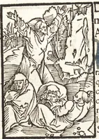 An illustration from Speculum passionis Domini Nostri Ihesu Christi : in quo relucẽt hec omnia singulariter vere & absolute, puta omnis p[er]fectio yerarchie, omniũ fidelium beatitudo, omnes virtutes, dona, fructus, et spiritualiũ bonorũ omnium efficacia, quod in fine prime partis huius speculi manifestissime cõprobat̃ (1507)