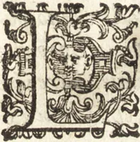 An illustration from Successo de' Canonici Regolari Lateranensi nelle loro isole Tremitane : dette anticamente Diomedee, con l'armata del gran Turco Sultan Solimano del 1567 : colla brieue descrittione d'esse isole e fortezze nella guisa che hoggidì si trouano (1606)