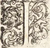 An illustration from Successo de' Canonici Regolari Lateranensi nelle loro isole Tremitane : dette anticamente Diomedee, con l'armata del gran Turco Sultan Solimano del 1567 : colla brieue descrittione d'esse isole e fortezze nella guisa che hoggidì si trouano (1606)