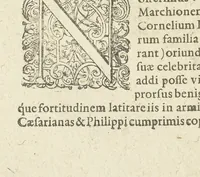 An illustration from Sylloge numismatum elegantiorum : quae diuersi impp., reges, principes, comites, respublicae diuersas ob causas ab anno 1500 ad annum usq[ue] 1600 cudi fecerunt (1620)