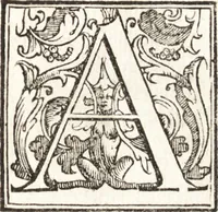 An illustration from Thesavrvs artificiosae memoriae : concionatoribus, philosophis, medicis, iuristis, oratoribus, procuratoribus, caeterisq; bonarum litterarum amatoribus, negociatoribus insuper alijsq; similibus, tenacem ac firmam rerum memoriam cupientibus, perutilis : ac omnes sui amatores & possessores valde locupletans, insimulq; decorant : cum rerum c[ae]lestium atq; terrestrium tenax, ac tutum scrinium esse possit (1579)