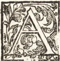 An illustration from Thesavrvs artificiosae memoriae : concionatoribus, philosophis, medicis, iuristis, oratoribus, procuratoribus, caeterisq; bonarum litterarum amatoribus, negociatoribus insuper alijsq; similibus, tenacem ac firmam rerum memoriam cupientibus, perutilis : ac omnes sui amatores & possessores valde locupletans, insimulq; decorant : cum rerum c[ae]lestium atq; terrestrium tenax, ac tutum scrinium esse possit (1579)