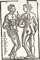 An illustration from Thesavrvs artificiosae memoriae : concionatoribus, philosophis, medicis, iuristis, oratoribus, procuratoribus, caeterisq; bonarum litterarum amatoribus, negociatoribus insuper alijsq; similibus, tenacem ac firmam rerum memoriam cupientibus, perutilis : ac omnes sui amatores & possessores valde locupletans, insimulq; decorant : cum rerum c[ae]lestium atq; terrestrium tenax, ac tutum scrinium esse possit (1579)