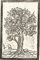 An illustration from Thesavrvs artificiosae memoriae : concionatoribus, philosophis, medicis, iuristis, oratoribus, procuratoribus, caeterisq; bonarum litterarum amatoribus, negociatoribus insuper alijsq; similibus, tenacem ac firmam rerum memoriam cupientibus, perutilis : ac omnes sui amatores & possessores valde locupletans, insimulq; decorant : cum rerum c[ae]lestium atq; terrestrium tenax, ac tutum scrinium esse possit (1579)