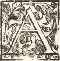 An illustration from Thesavrvs artificiosae memoriae : concionatoribus, philosophis, medicis, iuristis, oratoribus, procuratoribus, caeterisq; bonarum litterarum amatoribus, negociatoribus insuper alijsq; similibus, tenacem ac firmam rerum memoriam cupientibus, perutilis : ac omnes sui amatores & possessores valde locupletans, insimulq; decorant : cum rerum c[ae]lestium atq; terrestrium tenax, ac tutum scrinium esse possit (1579)