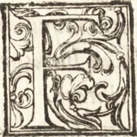 Picture 53 of 82 from Thesavrvs artificiosae memoriae : concionatoribus, philosophis, medicis, iuristis, oratoribus, procuratoribus, caeterisq; bonarum litterarum amatoribus, negociatoribus insuper alijsq; similibus, tenacem ac firmam rerum memoriam cupientibus, perutilis : ac omnes sui amatores & possessores valde locupletans, insimulq; decorant : cum rerum c[ae]lestium atq; terrestrium tenax, ac tutum scrinium esse possit (1579), leaf 201