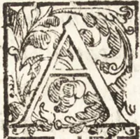 An illustration from Thesavrvs artificiosae memoriae : concionatoribus, philosophis, medicis, iuristis, oratoribus, procuratoribus, caeterisq; bonarum litterarum amatoribus, negociatoribus insuper alijsq; similibus, tenacem ac firmam rerum memoriam cupientibus, perutilis : ac omnes sui amatores & possessores valde locupletans, insimulq; decorant : cum rerum c[ae]lestium atq; terrestrium tenax, ac tutum scrinium esse possit (1579)