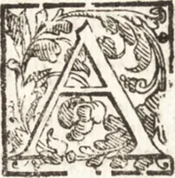 An illustration from Thesavrvs artificiosae memoriae : concionatoribus, philosophis, medicis, iuristis, oratoribus, procuratoribus, caeterisq; bonarum litterarum amatoribus, negociatoribus insuper alijsq; similibus, tenacem ac firmam rerum memoriam cupientibus, perutilis : ac omnes sui amatores & possessores valde locupletans, insimulq; decorant : cum rerum c[ae]lestium atq; terrestrium tenax, ac tutum scrinium esse possit (1579)