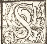 Picture 65 of 82 from Thesavrvs artificiosae memoriae : concionatoribus, philosophis, medicis, iuristis, oratoribus, procuratoribus, caeterisq; bonarum litterarum amatoribus, negociatoribus insuper alijsq; similibus, tenacem ac firmam rerum memoriam cupientibus, perutilis : ac omnes sui amatores & possessores valde locupletans, insimulq; decorant : cum rerum c[ae]lestium atq; terrestrium tenax, ac tutum scrinium esse possit (1579), leaf 238