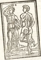 An illustration from Thesavrvs artificiosae memoriae : concionatoribus, philosophis, medicis, iuristis, oratoribus, procuratoribus, caeterisq; bonarum litterarum amatoribus, negociatoribus insuper alijsq; similibus, tenacem ac firmam rerum memoriam cupientibus, perutilis : ac omnes sui amatores & possessores valde locupletans, insimulq; decorant : cum rerum c[ae]lestium atq; terrestrium tenax, ac tutum scrinium esse possit (1579)