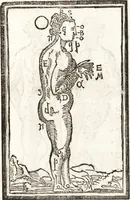 An illustration from Thesavrvs artificiosae memoriae : concionatoribus, philosophis, medicis, iuristis, oratoribus, procuratoribus, caeterisq; bonarum litterarum amatoribus, negociatoribus insuper alijsq; similibus, tenacem ac firmam rerum memoriam cupientibus, perutilis : ac omnes sui amatores & possessores valde locupletans, insimulq; decorant : cum rerum c[ae]lestium atq; terrestrium tenax, ac tutum scrinium esse possit (1579)