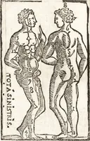 An illustration from Thesavrvs artificiosae memoriae : concionatoribus, philosophis, medicis, iuristis, oratoribus, procuratoribus, caeterisq; bonarum litterarum amatoribus, negociatoribus insuper alijsq; similibus, tenacem ac firmam rerum memoriam cupientibus, perutilis : ac omnes sui amatores & possessores valde locupletans, insimulq; decorant : cum rerum c[ae]lestium atq; terrestrium tenax, ac tutum scrinium esse possit (1579)