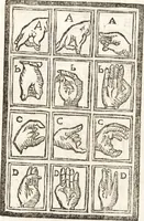 Picture 70 of 82 from Thesavrvs artificiosae memoriae : concionatoribus, philosophis, medicis, iuristis, oratoribus, procuratoribus, caeterisq; bonarum litterarum amatoribus, negociatoribus insuper alijsq; similibus, tenacem ac firmam rerum memoriam cupientibus, perutilis : ac omnes sui amatores & possessores valde locupletans, insimulq; decorant : cum rerum c[ae]lestium atq; terrestrium tenax, ac tutum scrinium esse possit (1579), leaf 248