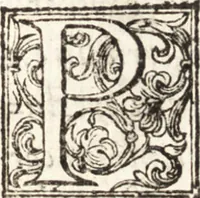An illustration from Thesavrvs artificiosae memoriae : concionatoribus, philosophis, medicis, iuristis, oratoribus, procuratoribus, caeterisq; bonarum litterarum amatoribus, negociatoribus insuper alijsq; similibus, tenacem ac firmam rerum memoriam cupientibus, perutilis : ac omnes sui amatores & possessores valde locupletans, insimulq; decorant : cum rerum c[ae]lestium atq; terrestrium tenax, ac tutum scrinium esse possit (1579)
