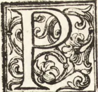 An illustration from Thesavrvs artificiosae memoriae : concionatoribus, philosophis, medicis, iuristis, oratoribus, procuratoribus, caeterisq; bonarum litterarum amatoribus, negociatoribus insuper alijsq; similibus, tenacem ac firmam rerum memoriam cupientibus, perutilis : ac omnes sui amatores & possessores valde locupletans, insimulq; decorant : cum rerum c[ae]lestium atq; terrestrium tenax, ac tutum scrinium esse possit (1579)