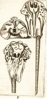 An illustration from Thomae Bartholini De unicornu observationes novae : secunda editione auctiores & emendatiores editae a filio Casparo Bartholino (1678)