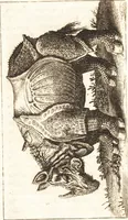 An illustration from Thomae Bartholini De unicornu observationes novae : secunda editione auctiores & emendatiores editae a filio Casparo Bartholino (1678)