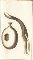An illustration from Thomae Bartholini De unicornu observationes novae : secunda editione auctiores & emendatiores editae a filio Casparo Bartholino (1678)