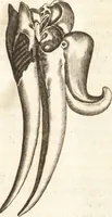 An illustration from Thomae Bartholini De unicornu observationes novae : secunda editione auctiores & emendatiores editae a filio Casparo Bartholino (1678)