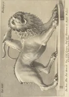 An illustration from Thomae Dempsteri a muresk Scoti pandectarum in Pisano Lyceo professoris ordinarii De Etruria regali libri septem : opus postumum in duas partes divisum (1723)