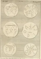 An illustration from Thomae Dempsteri a muresk Scoti pandectarum in Pisano Lyceo professoris ordinarii De Etruria regali libri septem : opus postumum in duas partes divisum (1723)