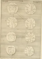 An illustration from Thomae Dempsteri a muresk Scoti pandectarum in Pisano Lyceo professoris ordinarii De Etruria regali libri septem : opus postumum in duas partes divisum (1723)