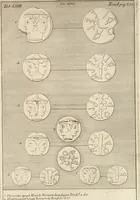 An illustration from Thomae Dempsteri a muresk Scoti pandectarum in Pisano Lyceo professoris ordinarii De Etruria regali libri septem : opus postumum in duas partes divisum (1723)