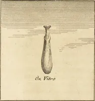 Picture 111 of 122 from Thomae Dempsteri a muresk Scoti pandectarum in Pisano Lyceo professoris ordinarii De Etruria regali libri septem : opus postumum in duas partes divisum (1723), leaf 648