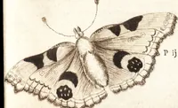 An illustration from Traité des pratiques geometrales et perspectives : enseignées dans l'Academie royale de la peinture et sculpture (1665)