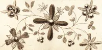 Picture 6 of 107 from Traité des pratiques geometrales et perspectives : enseignées dans l'Academie royale de la peinture et sculpture (1665), leaf 54