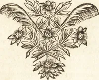An illustration from Traité des pratiques geometrales et perspectives : enseignées dans l'Academie royale de la peinture et sculpture (1665)