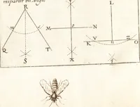 An illustration from Traité des pratiques geometrales et perspectives : enseignées dans l'Academie royale de la peinture et sculpture (1665)
