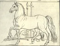 An illustration from A treatise of painting (1721)