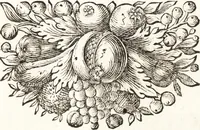 An illustration from I trionfi dell'architettvra nella sontuosa residenza di Monaco ... (1680)