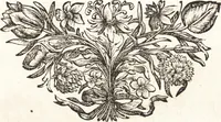 An illustration from I trionfi dell'architettvra nella sontuosa residenza di Monaco ... (1680)