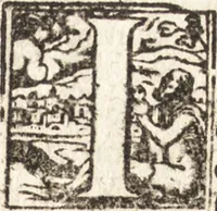An illustration from Tychonis Brahe Astronomiae instauratae mechanica (1602)