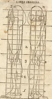 An illustration from Varia conmensuracion para le escultura y arquitectura (1675)