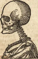 An illustration from Varia conmensuracion para le escultura y arquitectura (1675)