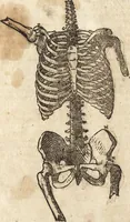An illustration from Varia conmensuracion para le escultura y arquitectura (1675)